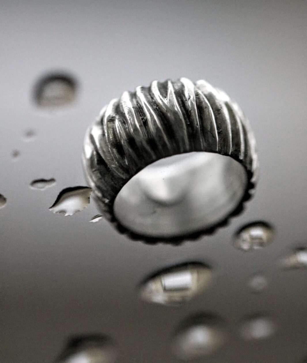 Fotografie StreifenGußRing