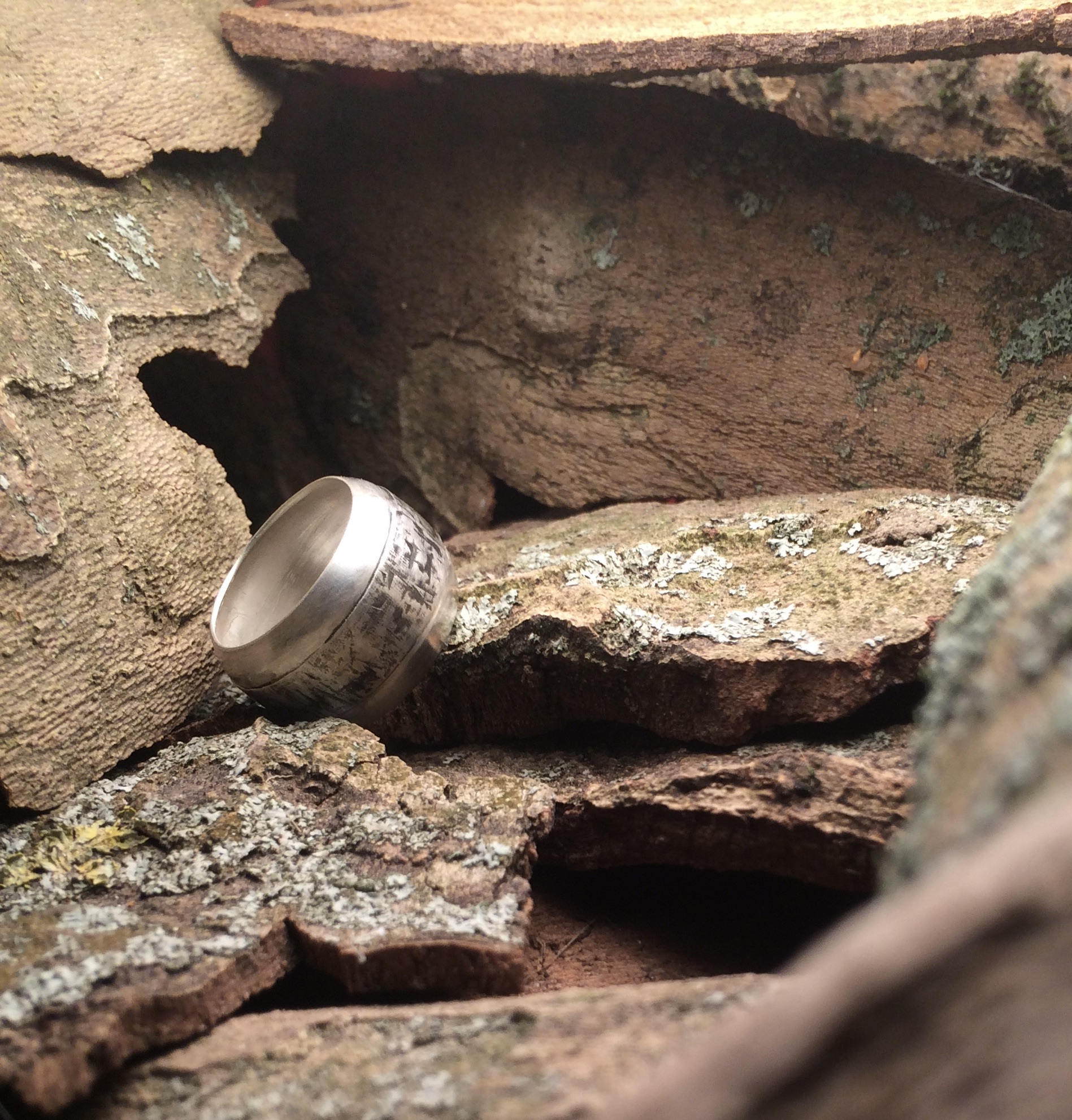 Simone Bartels, RindenRing